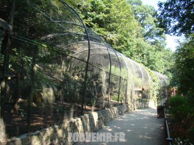 Héron -Cigogne - 2011