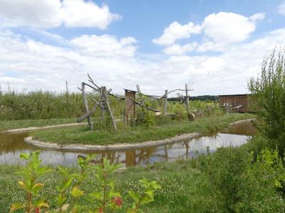 Ouistiti de Geoffroy