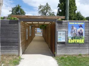 Option Terre de singes
