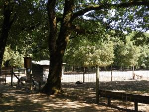 Conservatoire ovins