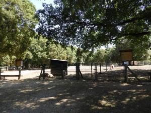 Conservatoire ovins