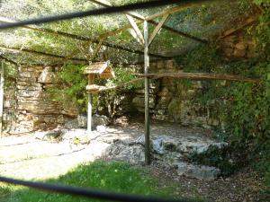 Chouette effraie