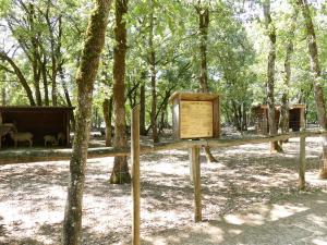 Mouton de Causse