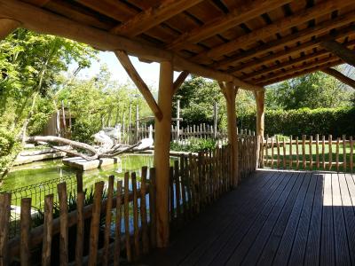 Pélican frisé - 2020