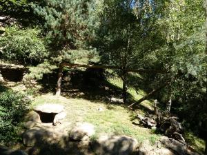 Marmotte
