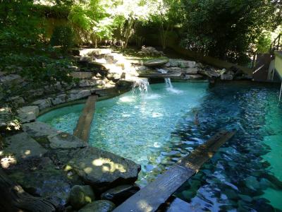 Loutre d'Europe - 2020