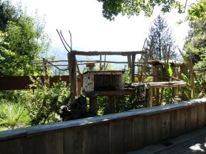Binturong