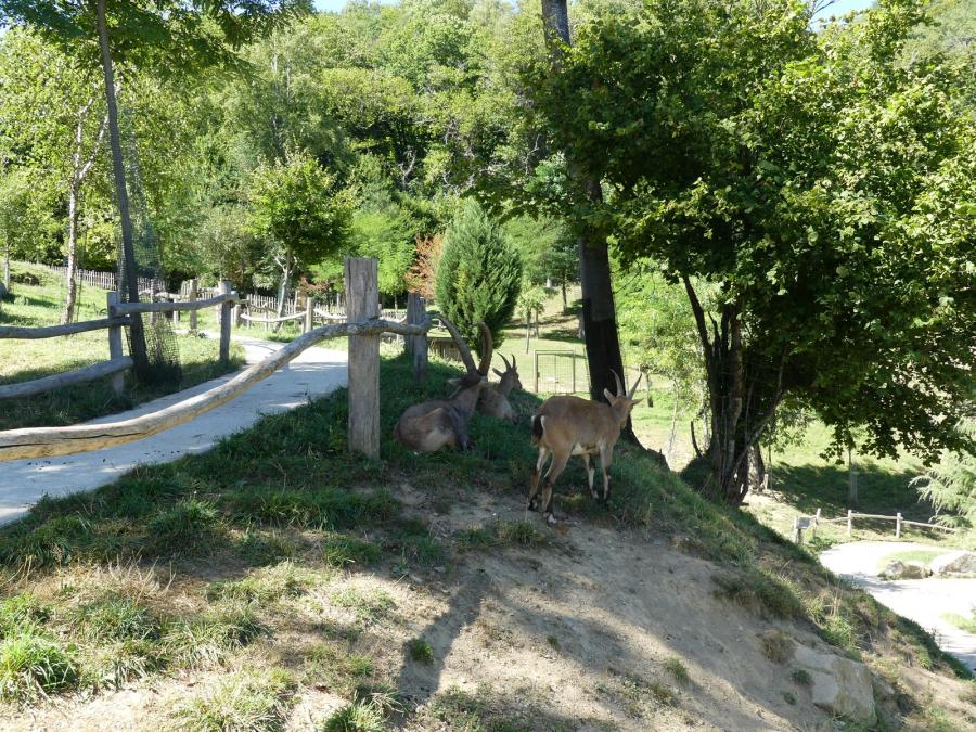 Grand parcours