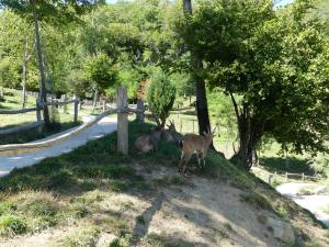 Grand parcours