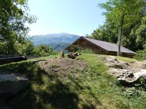 Chien de prairie