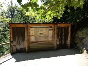 Abeilles