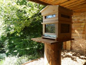 Abeilles