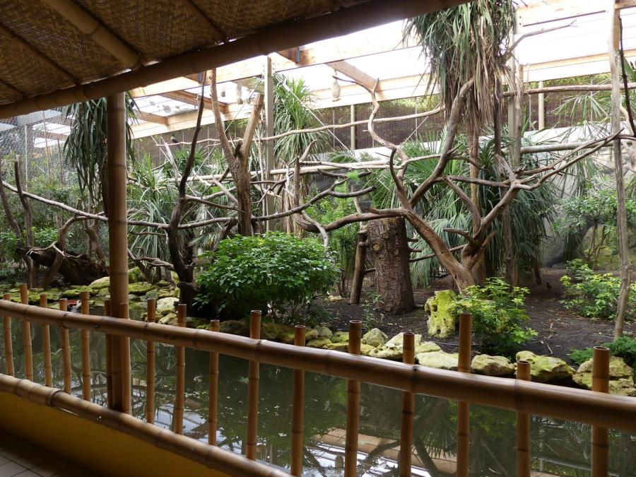 Zone Guyane