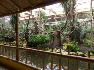 Zone Guyane