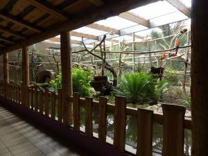 Zone Guyane