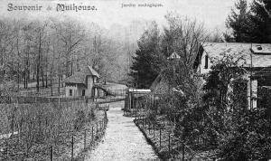 w mulhouse jardin