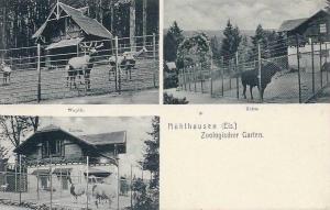 Jardin Zoologique