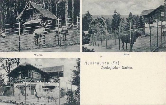 Jardin Zoologique