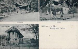 Jardin Zoologique