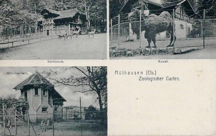 Jardin Zoologique