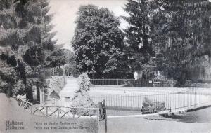 Bassin des otaries