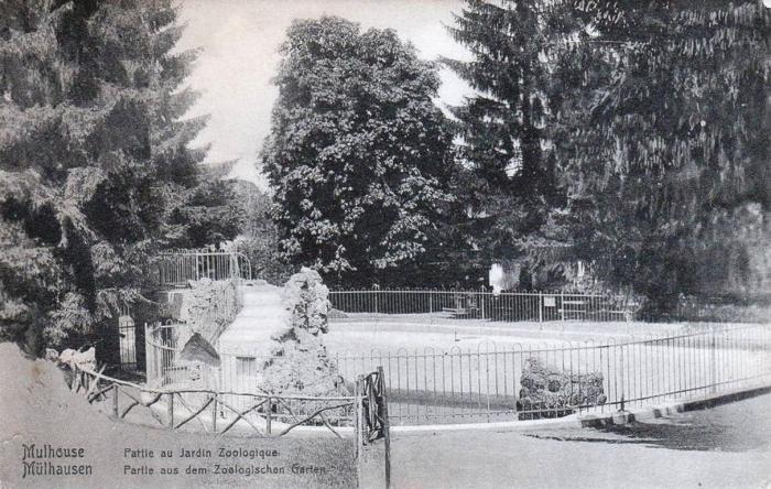 Bassin des otaries