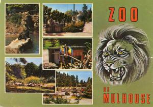 Zoo de Mulhouse - 1988
