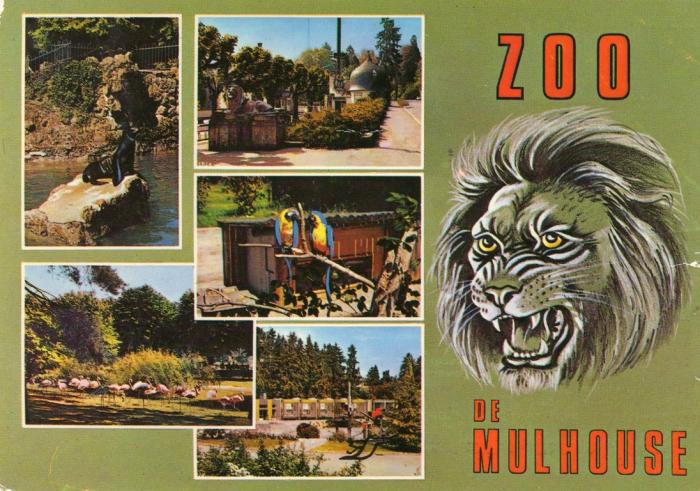 Zoo de Mulhouse - 1988