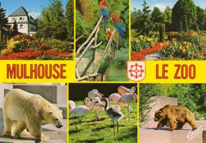 Différents aspects du zoo - 1987