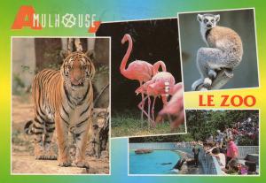 Le Zoo - 1996