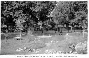 Pré marécageux