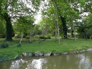 Gibbon à favoris blancs