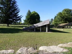 Tortue sillonnée - Tortue léopard