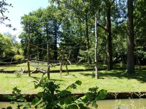 Saïmiri à tête noire