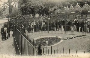 Une des curiosités lyonnaises : les Crocodiles - 1915