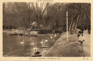 Un coin du lac