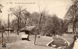 Un coin du Parc de la Tête d'Or