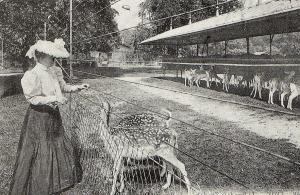 Le Parc aux Daims