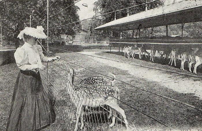 Le Parc aux Daims