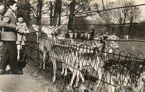 Les Biches - 1958