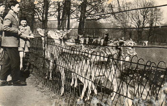 Les Biches - 1958