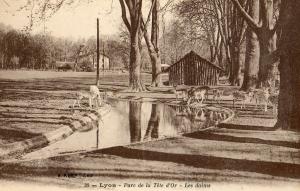 Les Daims