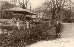 Les Cerfs - 1918