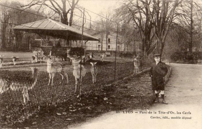Les Cerfs - 1918