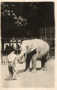 L'éléphant