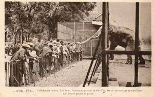 "Loulou" don de M. Herriot au Parc de la Tête d'Or