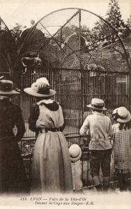 Devant la cage des Singes - 1917