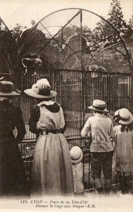 Devant la cage des Singes - 1917