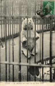 M. Martin au Parc de la Tête d'Or - 1912