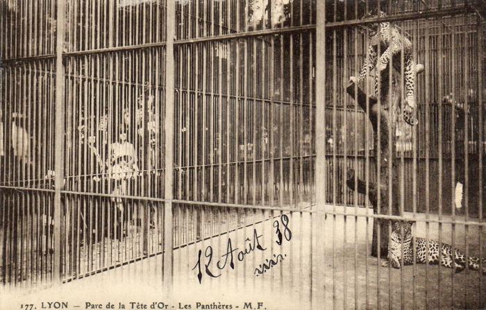 Les Panthères - 1938